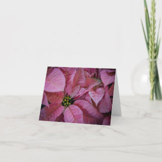 Cartão De Agradecimento Poinsettia (2)