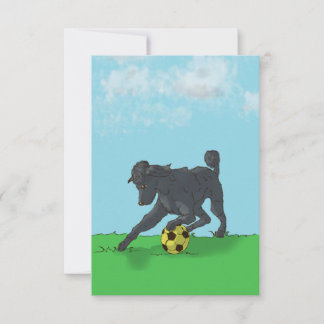 Cartão De Agradecimento Poodle Preto com Placa de Nota de Bola de Futebol