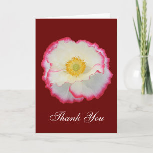 Cartão De Agradecimento Poppy 105 ~ card