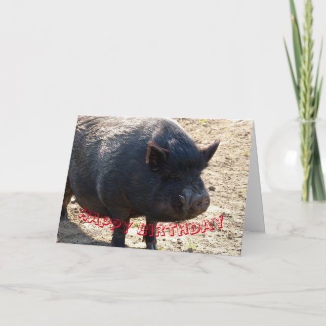 Cartão De Agradecimento Pot bellied pig Birthday card (Frente)