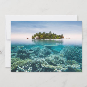 Cartão De Agradecimento Praias Tropicais Ari Atoll Maldivas