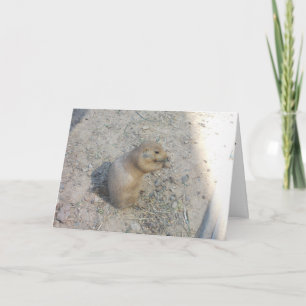 Cartão de Agradecimento "Prairie Dog #2"