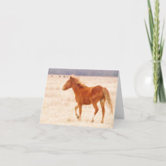 Cartão De Agradecimento Prairie Fire