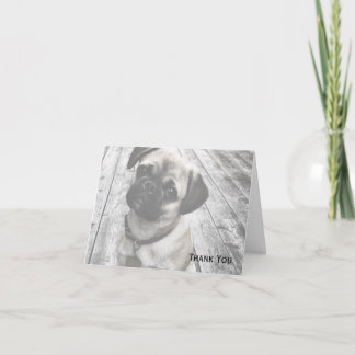 Cartão De Agradecimento Precious Pug Puppy in Black and White
