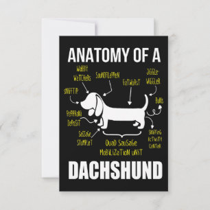 Cartão De Agradecimento Presente para cães Anatomia De Dachshund