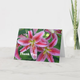 Cartão De Agradecimento Pretty Pink Lily Floral Photo