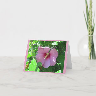 Cartão De Agradecimento Pretty Rose Of Sharon PhotoThank You Card