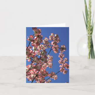 Cartão De Agradecimento Primavera