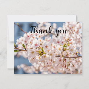 Cartão De Agradecimento Primavera Cherry Blossom Floral Sakura Obrigado
