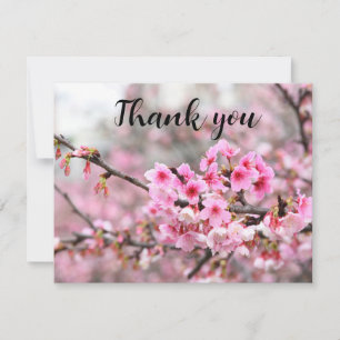 Cartão De Agradecimento Primavera Cherry Blossom Floral Sakura Obrigado