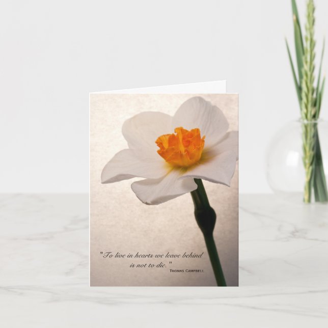 Cartão De Agradecimento Primavera Daffodil Obrigado pela sua simpatia (Frente)