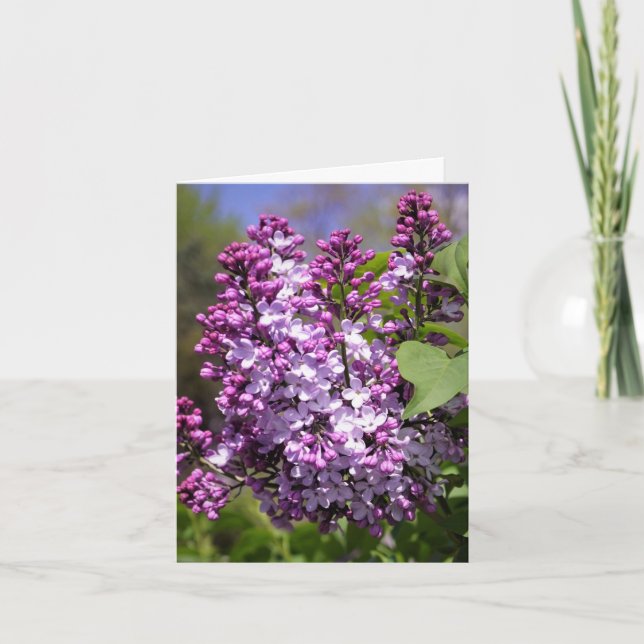 Cartão De Agradecimento Primavera feliz (Frente)