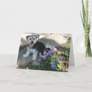 Cartão De Agradecimento Puppy Obrigado