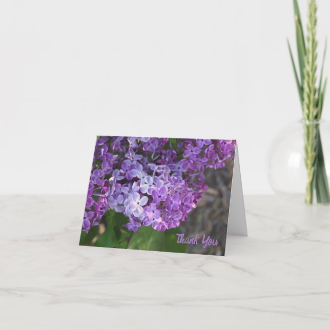 Cartão De Agradecimento Purple Lilacs Folded Thank You Card (Frente)