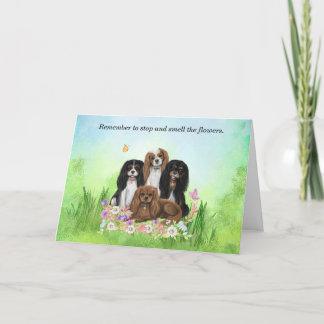 Cartão De Agradecimento Quatro Cavaleiros Rei Charles Spaniels em Flores