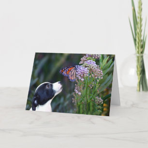 Cartão De Agradecimento Querido Obrigado Por Sentar De Pet