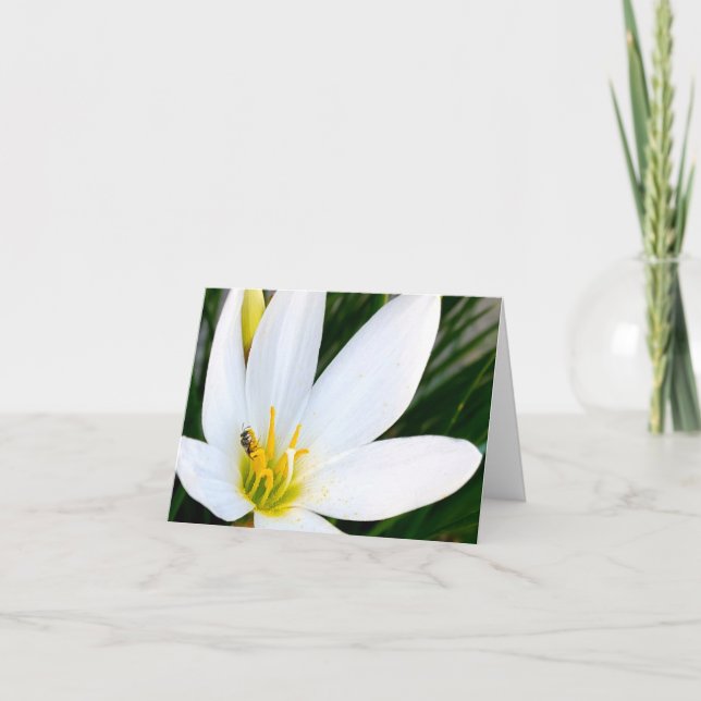 Cartão De Agradecimento Rain Lily Inseto Deux (Frente)
