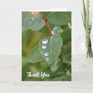 Cartão De Agradecimento Raindrops and Green Leaves Folded Thank You Card