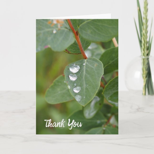 Cartão De Agradecimento Raindrops and Green Leaves Folded Thank You Card (Frente)