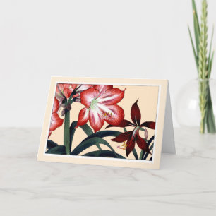 Cartão De Agradecimento Red Amarylli, Botanicals Card - Customize Greeting