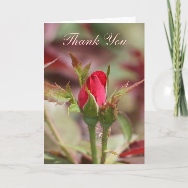 Cartão De Agradecimento Red Rose Buds Thank You card (Frente)
