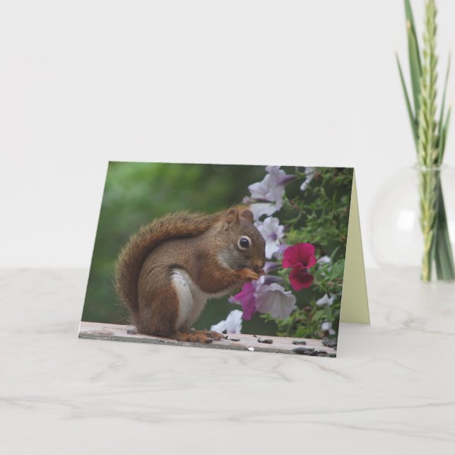 Cartão De Agradecimento Red Squirrel Obrigado (Frente)