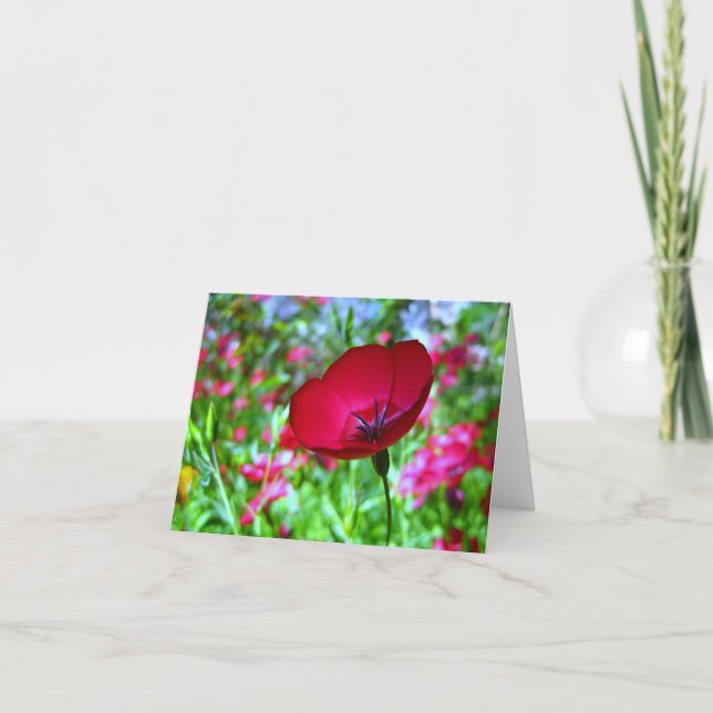Cartão De Agradecimento Red Wildflower Greeting Card (Frente)