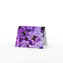 Rhododendron alemão