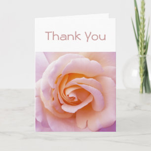 Cartão De Agradecimento Rosa do Jardim Inglês Pêssego e Rosa