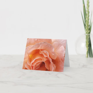 Cartão De Agradecimento rosa ghear depois da chuva