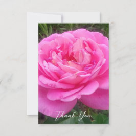 Cartão De Agradecimento Rosa Rosa Romântica "Leonardo Da Vinci"