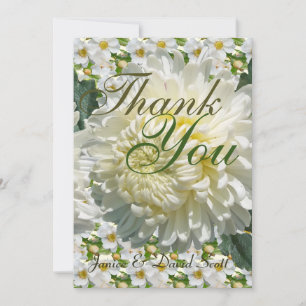 Cartão De Agradecimento Rosas Brancas e Casamento Chrysanthemum Obrigado