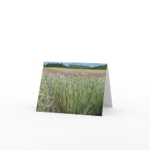 Rua. Croix Savannah SNA - Prairie