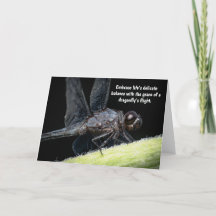 "Sabedoria das Alas - O Conto da Dragonfly"