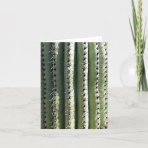 Cartão De Agradecimento Sanoran Saguaro
