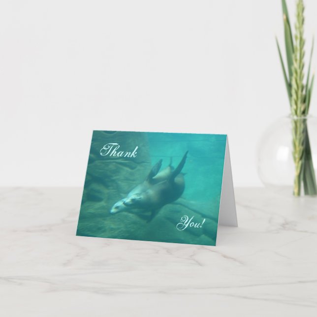 Cartão De Agradecimento Sea Lions Thank You Card (Frente)