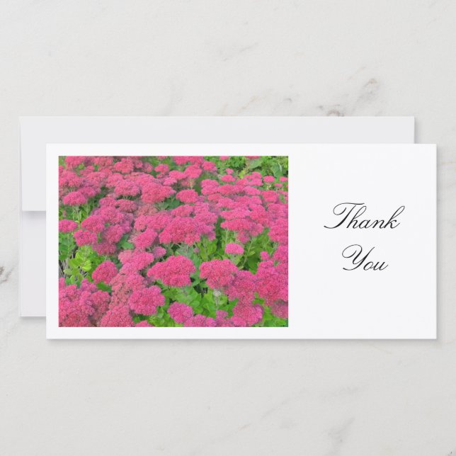 Cartão De Agradecimento Sedum (Alegria do outono) - Obrigado (Frente)