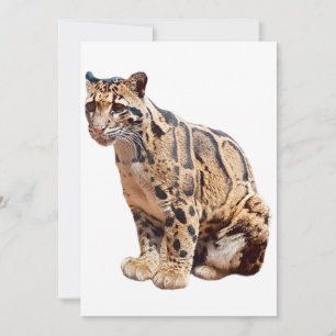 Cartão De Agradecimento selva de grande gato com fotografia-leopardo nubla