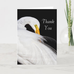 Cartão De Agradecimento Sempre Egrets Obrigado