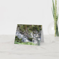 Sequoias de sequoias em cascata sobre as rochas na