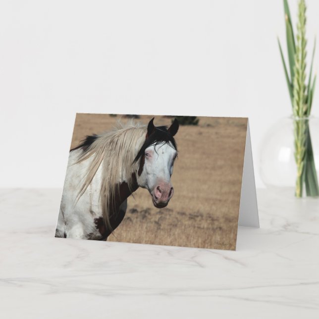 Cartão De Agradecimento Shaman WildCard (Frente)