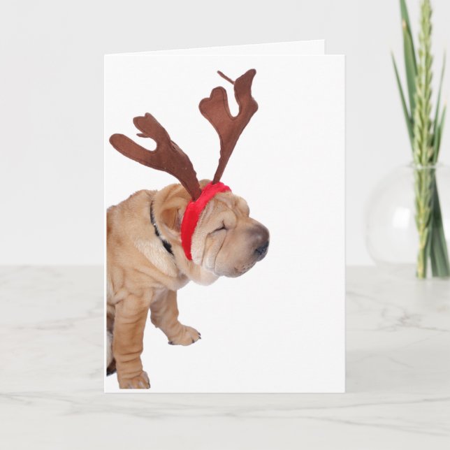 CARTÃO DE AGRADECIMENTO SHAR PEI COM PLACA DE NATAL DE ANTLERS (Frente)