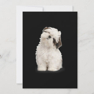 Cartão De Agradecimento Shih Tzu Presente de Shih Tzu Puppy
