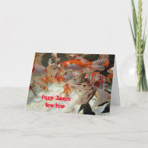 Shubunkin e peixe dourado comum