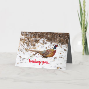 Cartão De Agradecimento Silent Wonders Holiday Card Pheasant