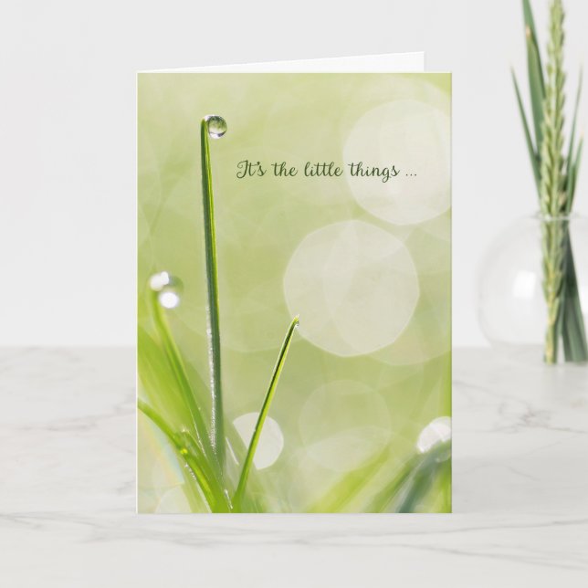 Cartão De Agradecimento Simpatia Obrigado - Dewdrop em uma lâmina de grama (Frente)