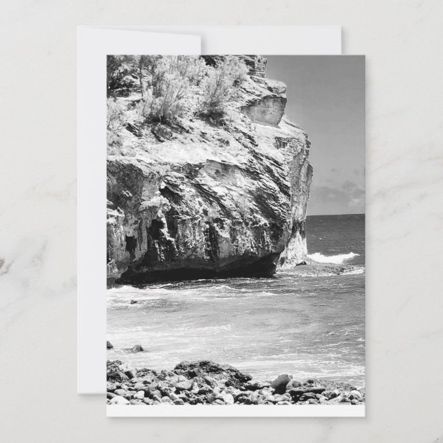 Cartão de agradecimento simples do Shipwreck Cliff (Frente)