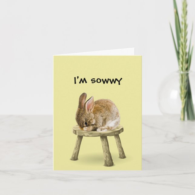 Cartão De Agradecimento Sinto muito, Bunny Rabbit Card (Frente)