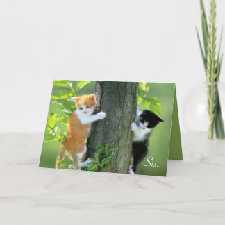 Cartão De Agradecimento Sis, Obrigados Por Estar Lá.