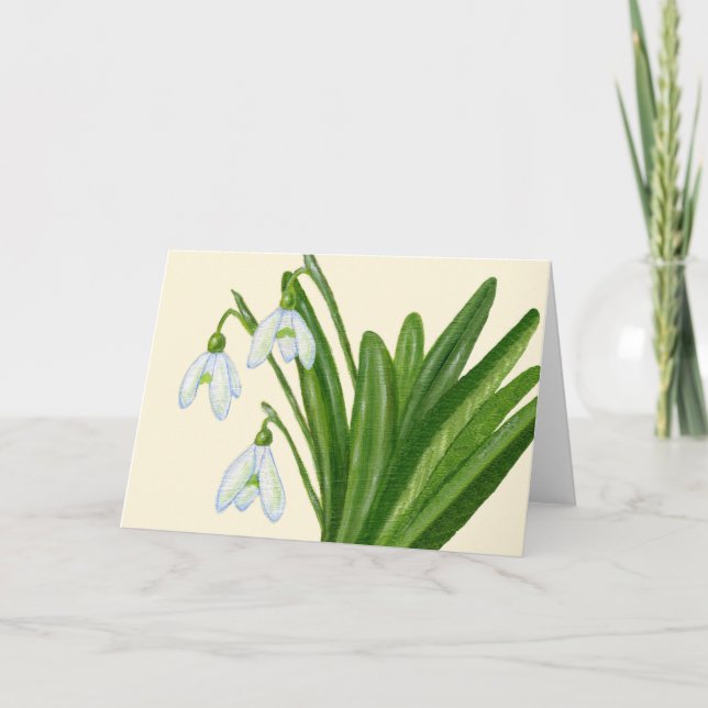 Cartão De Agradecimento Snowdrops card (Frente)
